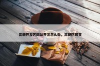 高新开发区网站开发怎么做，高新区网页