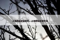 上海网站定制软件，上海网站定制开发