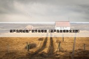 葫芦岛网站推广软件有哪些（葫芦岛自媒体交流群）