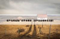 葫芦岛网站推广软件有哪些（葫芦岛自媒体交流群）