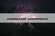 山东电商网站开发应用（山东比较好的电商公司）