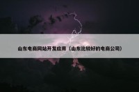 山东电商网站开发应用（山东比较好的电商公司）