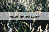 济南seo优化手段？ 济南优化seo公司？