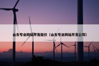 山东专业网站开发报价（山东专业网站开发公司）