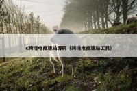 c跨境电商建站源码（跨境电商建站工具）