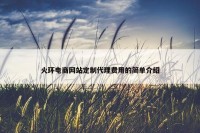 火环电商网站定制代理费用的简单介绍