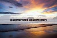 武汉网站推广熊掌号（武汉网站排名推广）