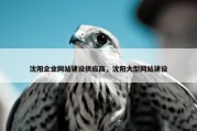 沈阳企业网站建设供应商，沈阳大型网站建设