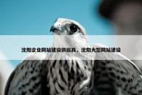 沈阳企业网站建设供应商，沈阳大型网站建设