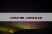 pos网站推广策划（pos机网上推广方案）