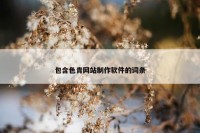包含色青网站制作软件的词条
