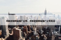 河南定制网站推广公司，河南定制网站推广公司电话