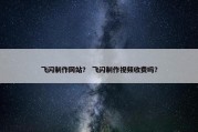 飞闪制作网站？ 飞闪制作视频收费吗？