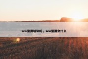 seo需要培训吗，seo需要会什么