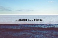 seo查询软件（seo 查询工具）