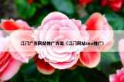 江门广告网站推广方案（江门网站seo推广）