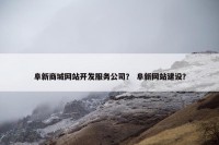 阜新商城网站开发服务公司？ 阜新网站建设？