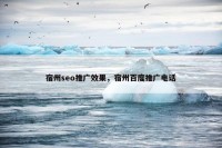 宿州seo推广效果，宿州百度推广电话