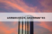 山东网站优化方法公司，山东公司网站推广优化