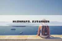 湖北营销网站开发，武汉专业网站营销
