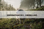 长春市网站开发报价多少，长春网站seo报价