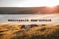 网站优化外包设计公司，网站推广优化外包公司