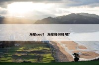 海星seo？ 海星股份股吧？