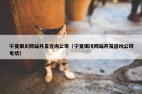 宁夏银川网站开发咨询公司（宁夏银川网站开发咨询公司电话）