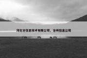 河北沧信息技术有限公司，沧州信息公司