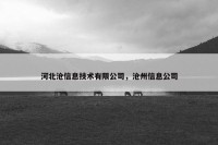 河北沧信息技术有限公司，沧州信息公司