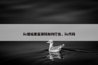 iis建站里面源码如何打包，iis代码