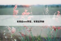 石家庄seo李哲，石家庄李赫