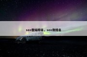seo整站排名，seo做排名