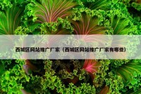 西城区网站推广厂家（西城区网站推广厂家有哪些）