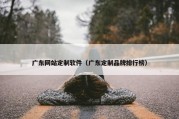 广东网站定制软件（广东定制品牌排行榜）