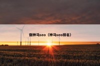 做神马seo（神马seo排名）