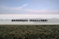 服务周到网站优化（网站优化公司服务）