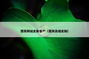 西安网站定制客户（西安高端定制）