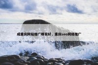 成重庆网站推广哪家好，重庆seo网络推广