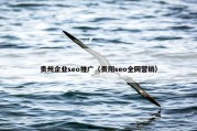 贵州企业seo推广（贵阳seo全网营销）