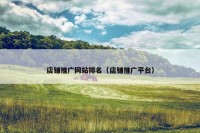 店铺推广网站排名（店铺推广平台）