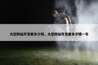 大型网站开发要多少钱，大型网站开发要多少钱一年