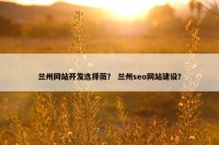 兰州网站开发选择薇？ 兰州seo网站建设？