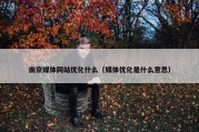 南京媒体网站优化什么（媒体优化是什么意思）