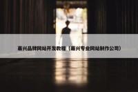 嘉兴品牌网站开发教程（嘉兴专业网站制作公司）