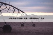 手机网站引流推广渠道，手机网站推广方案