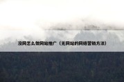 没网怎么做网站推广（无网站的网络营销方法）