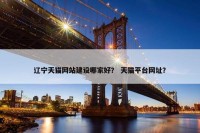 辽宁天猫网站建设哪家好？ 天猫平台网址？