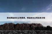 衡水网站优化公司费用，网站优化公司交多少税