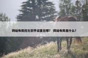 网站布局优化软件设置在哪？ 网站布局是什么？
